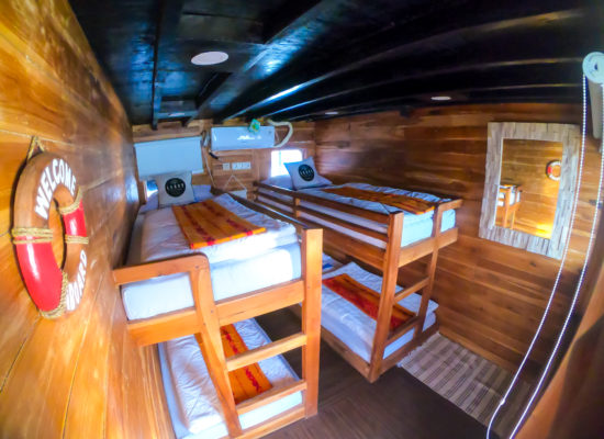 cabin bunk bed lexxy