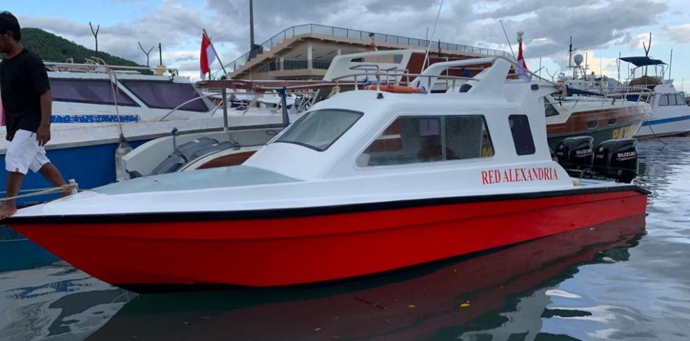speedboat red alexandria