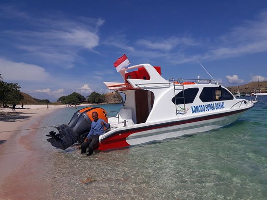 rental speedboat surga bahari